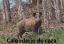Cartel